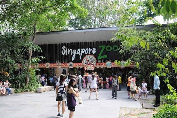 Singapore English & STEAM Camp