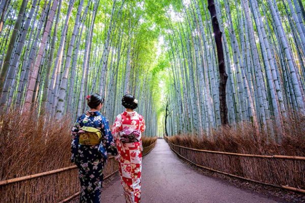 Arashiyama bamboo forest tour in Japan