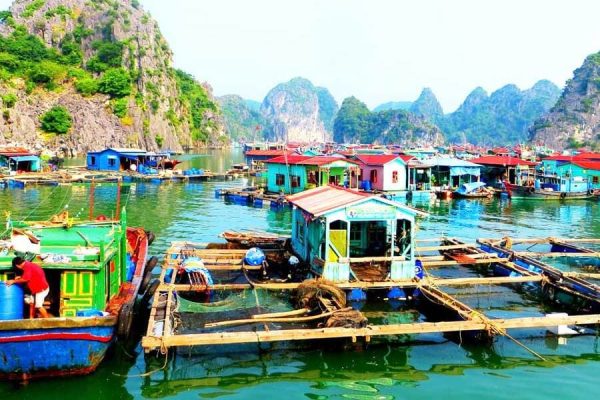Ba Hang Fishing Village - Vietnam Culture and Heritage