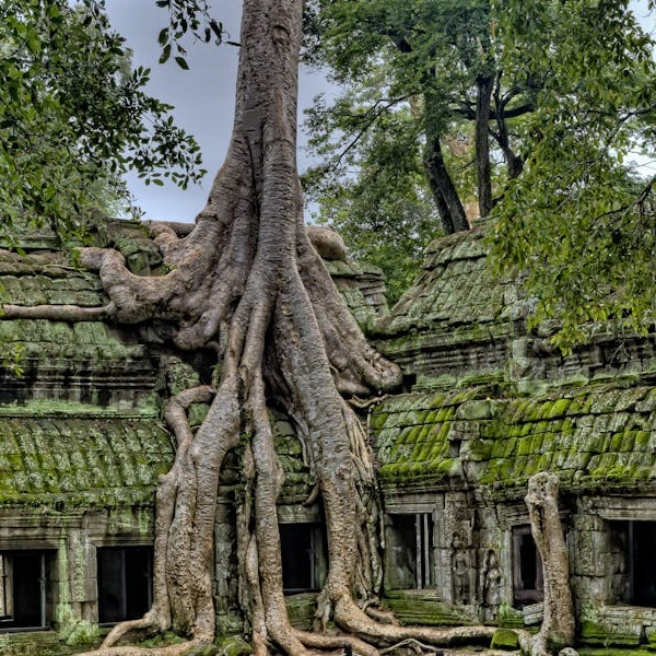 Cambodia School Tours