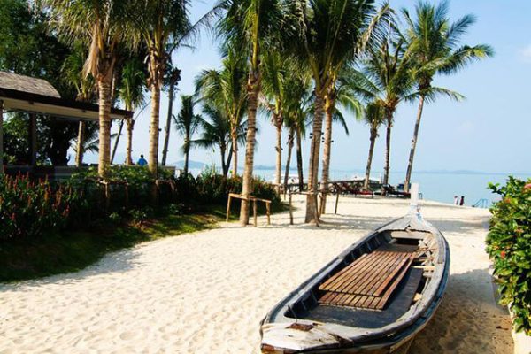 Beautiful view of Coconut Island, Thailand