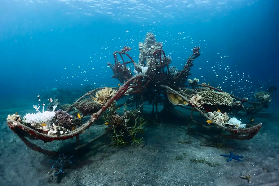 Biorock Pemuteran Coral Reef Conservation - Indonesia School Trips