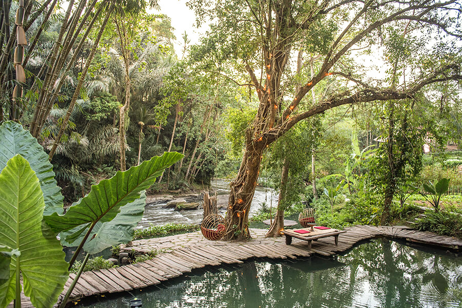 Eco Lodge in Bali - Indonesia School Trips