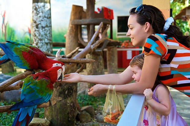 Jurong Bird Park - Singapore school trips