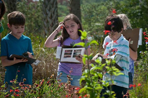 Field-Trip-Idea-For-Kindergarten-Students