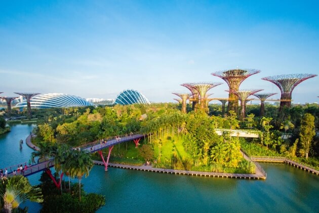 Gardens by the Bay - educational tours in singapore