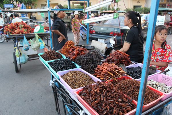 Fried insects for sale at Skoun Village