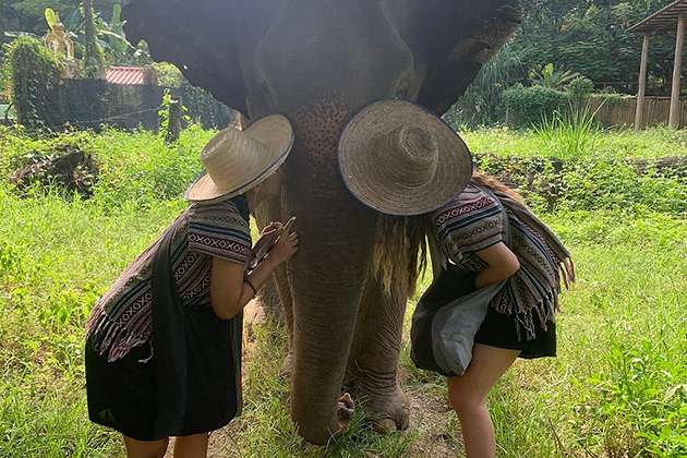 Kanjana Elephant Camp - Thailands school trip