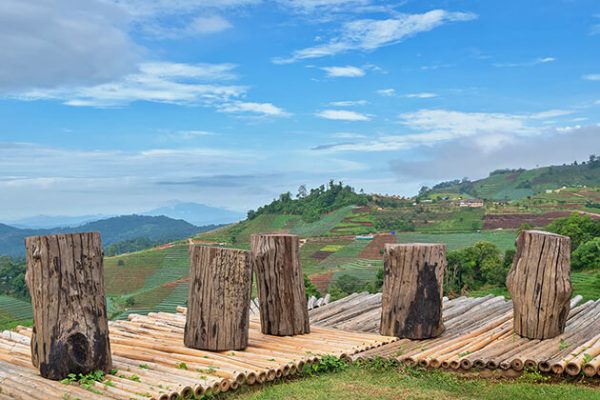 Visit Mae Rim near Chiang Mai from Thailand school trip