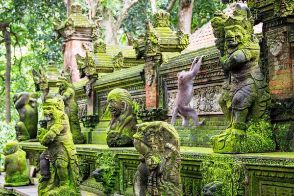 Monkey Forest in Ubud - Indonesia School Trips