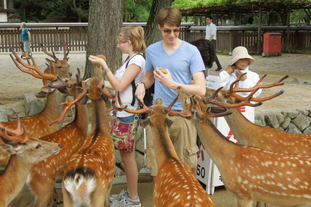 Nara best place to visit for Japan school trip