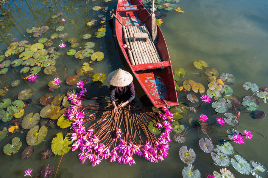 Vietnam School Tours
