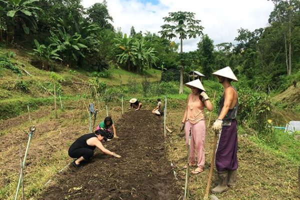 Organic-Farm-in-Chiang-Mai-for-student-visit