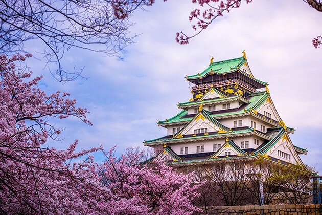 Osaka Castle exploration from Japan school tour