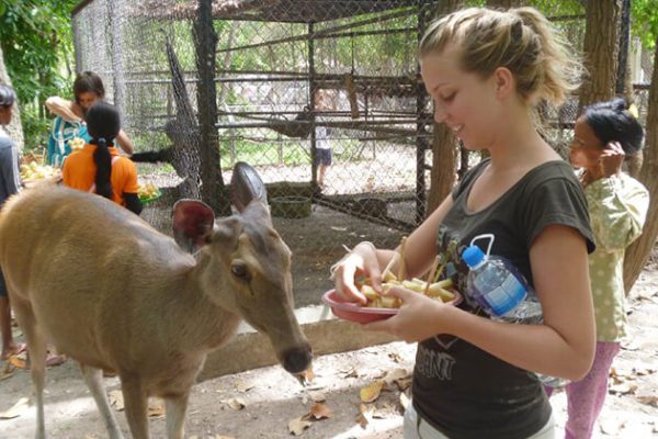 Phnom Tamao Wildlife Rescue Centre - Cambodia school trips