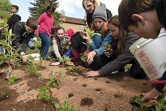 Places To Visit In Field Trips For 5th Grade Students