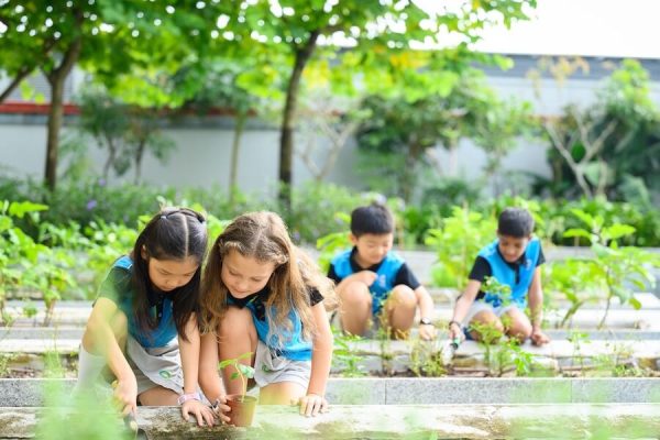 Environmental Sustainability Singapore Student Trips