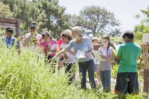 Safety Tips for Successful Field Trips