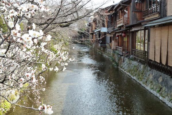 Shirakawa River sightseeing in Japan School Trip