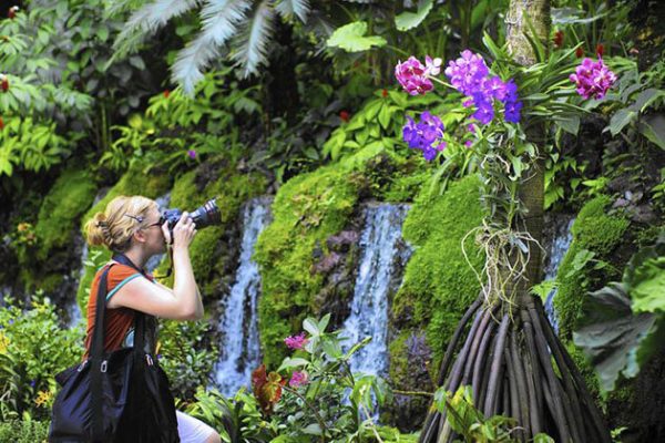 Singapore Botanic Gardens - Singapore school trips