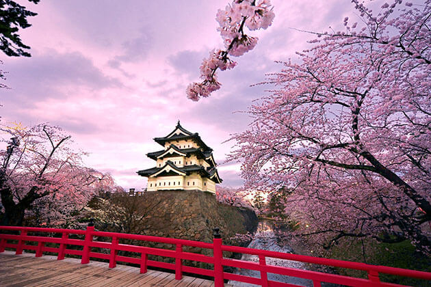 Spectacular view of Japan