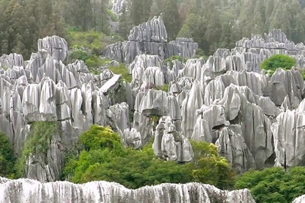 Stone Forest Park China - China school tours