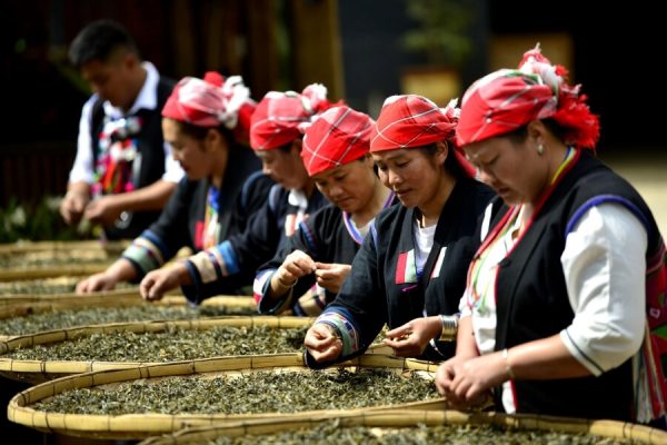 Students experiencing and tea-making culture in Hangzhou during their China student itinerary