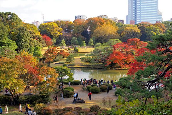 Rikugien Japanese Landscape Garden - Japan school trips