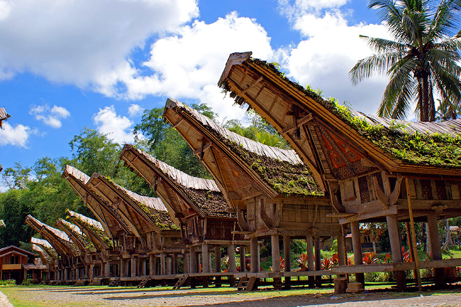 Tana Toraja - Indonesia School Trips