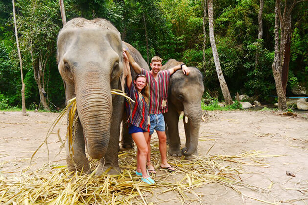 explore Elephant sanctuary - Thailand school trips