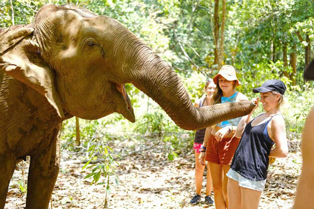 The Mondulkiri Project’s Elephant Sanctuary in Cambodia