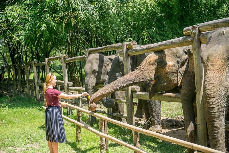 Top 3 Elephant Sanctuaries For Thailand School Trips & Student Tours