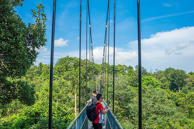 Treetop Walk in Singapore - Singapore school trips