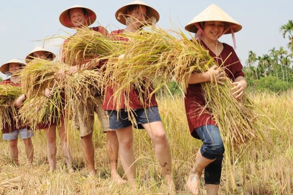 Vietnam North to South Educational School Tour – 8 Days