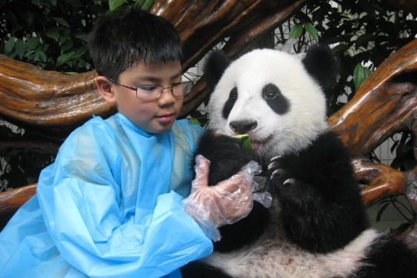 Visiting Chengdu’s panda sculpture and strolling Kuan-Zhai Lane to explore local life