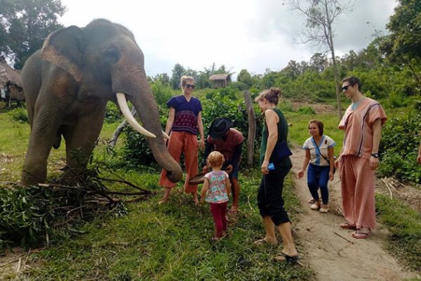 chiang mai elephant camp