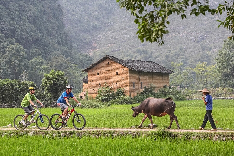 cycling through Yangshuo countryside on a Green China student travel experience