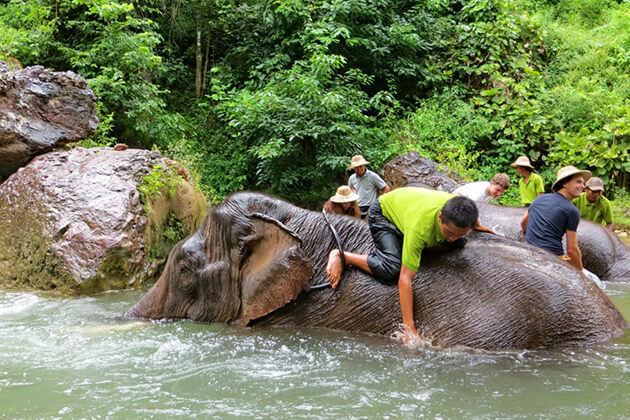 elephant camp in myanmar