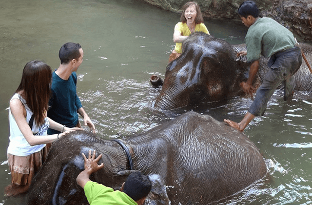 elephant camp in myanmar school trips