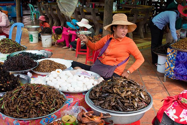 Skoun-Village - Cambodia School Trips