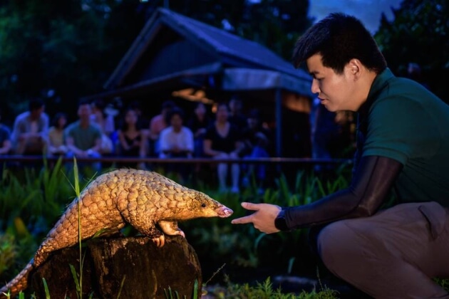 night safari - school trips to singapore