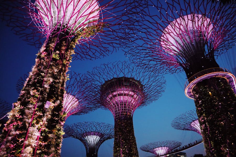 Educational Student Experiences with Us in Singapore.