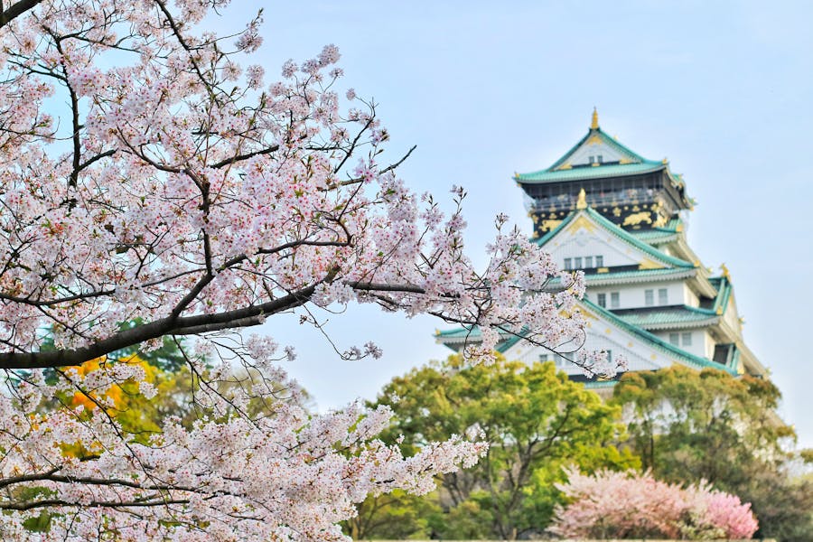 Japan School Trip