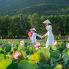 Belt & Road Student Trip to Vietnam - 5 Days
