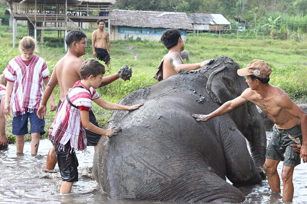 students join Elephant Camp - Thailand school trips