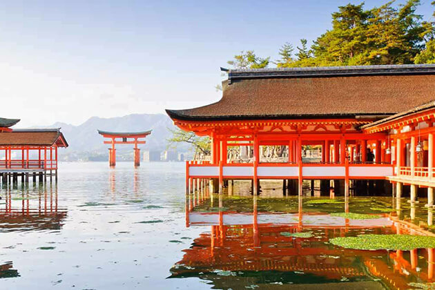 stunning view of Miyajima - Japan school trips