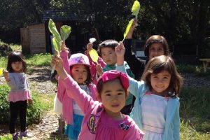 download preschool field trips